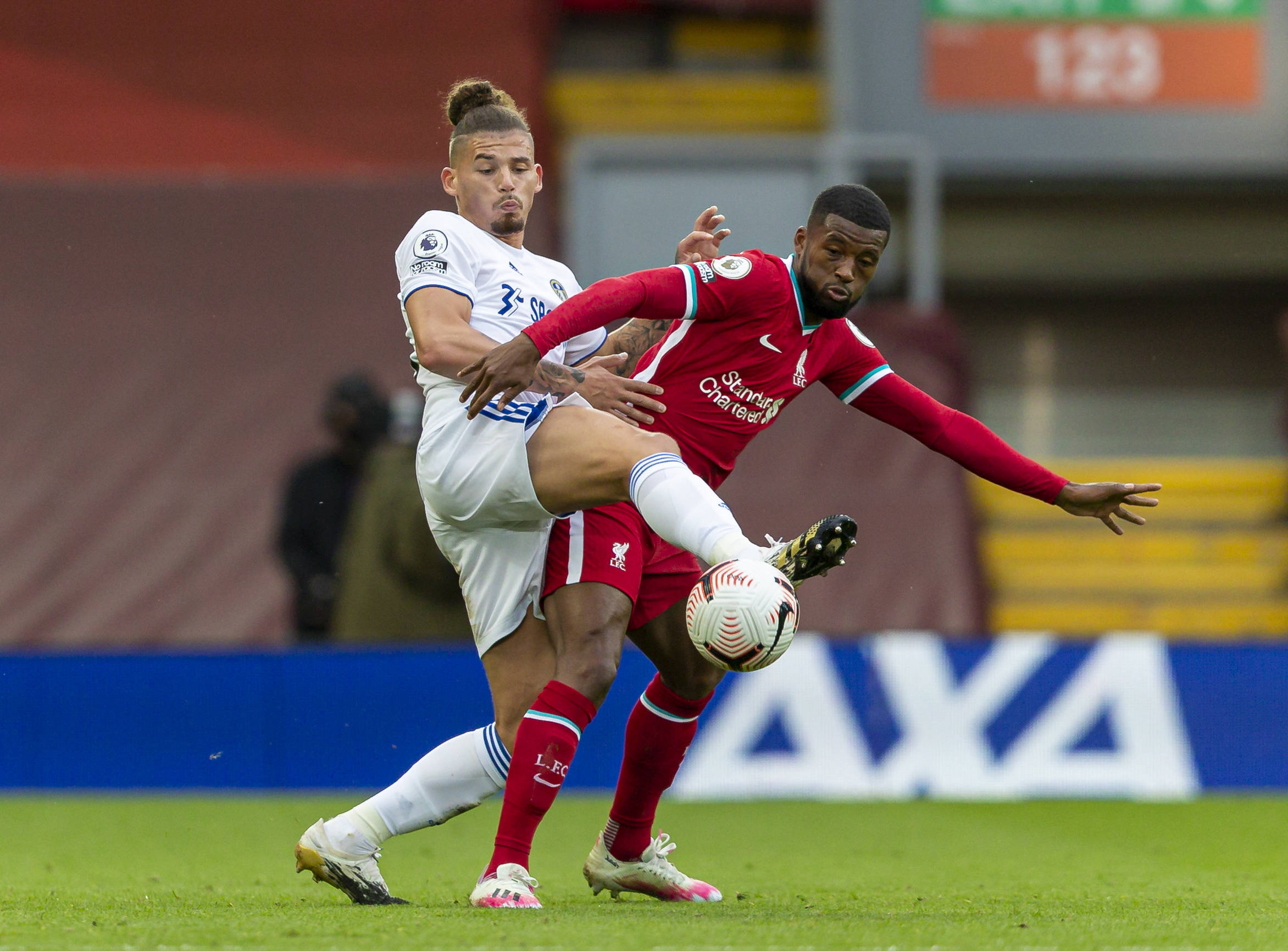 雄鹿在此次 雄鹿在此次